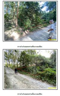https://ww17.ohoproperty.com/1401/ธนาคารกรุงไทย/ขายที่ดินเปล่า/หน้าเมือง/เกาะสมุย/สุราษฎร์ธานี/