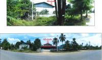 ที่ดินพร้อมสิ่งปลูกสร้างหลุดจำนอง ธ.ธนาคารกรุงไทย ตาขีด บรรพตพิสัย นครสวรรค์