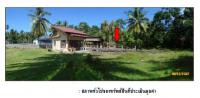 https://ww17.ohoproperty.com/1394/ธนาคารกรุงไทย/ขายที่ดินพร้อมสิ่งปลูกสร้าง/ตลิ่งงาม/เกาะสมุย/สุราษฎร์ธานี/