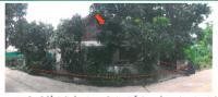 บ้านเดี่ยวหลุดจำนอง ธ.ธนาคารกรุงไทย กาฬสินธุ์ เมืองกาฬสินธุ์ กาฬสินธุ์