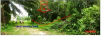 https://ww17.ohoproperty.com/2514/ธนาคารกรุงไทย/ขายที่ดินเปล่า/เหนือคลอง/เหนือคลอง/กระบี่/