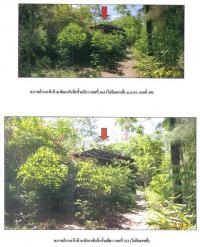 https://ww17.ohoproperty.com/65420/ธนาคารกรุงไทย/ขายที่ดินพร้อมสิ่งปลูกสร้าง/ท่าทอง/กาญจนดิษฐ์/สุราษฎร์ธานี/