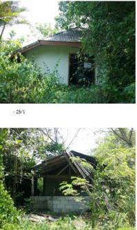 https://ww17.ohoproperty.com/73781/ธนาคารกรุงไทย/ขายที่ดินพร้อมสิ่งปลูกสร้าง/หนองหงส์/ทุ่งสง/นครศรีธรรมราช/