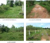 ที่ดินเปล่าหลุดจำนอง ธ.ธนาคารกรุงไทย ขมิ้น เมืองสกลนคร สกลนคร