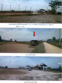 https://ww17.ohoproperty.com/76135/ธนาคารกรุงไทย/ขายที่ดินพร้อมสิ่งปลูกสร้าง/ห้วยสัก/เมืองเชียงราย/เชียงราย/