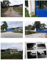 https://ww17.ohoproperty.com/140021/ธนาคารกรุงไทย/ขายที่ดินพร้อมสิ่งปลูกสร้าง/แม่คำ/แม่จัน/เชียงราย/