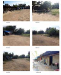 https://ww17.ohoproperty.com/177961/ธนาคารกรุงไทย/ขายที่ดินพร้อมสิ่งปลูกสร้าง/หนองโพ/ตาคลี/นครสวรรค์/