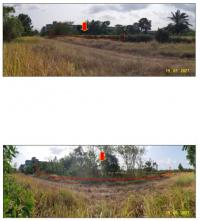 https://ww17.ohoproperty.com/141238/ธนาคารกรุงไทย/ขายที่ดินเปล่า/บ้านนา/เมืองชุมพร/ชุมพร/
