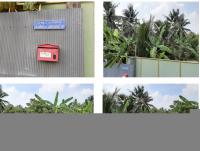 https://ww17.ohoproperty.com/188205/ธนาคารกรุงไทย/ขายที่ดินพร้อมสิ่งปลูกสร้าง/ท้ายหาด/เมืองสมุทรสงคราม/สมุทรสงคราม/