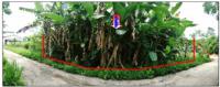 https://ww17.ohoproperty.com/210043/ธนาคารออมสิน/ขายที่ดิน/วังตะกอ/หลังสวน/ชุมพร/