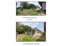 https://ww17.ohoproperty.com/192703/ธนาคารออมสิน/ขายที่ดินพร้อมสิ่งปลูกสร้าง/ดอยลาน/เมืองเชียงราย/เชียงราย/