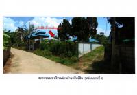 https://ww17.ohoproperty.com/167744/ธนาคารออมสิน/ขายที่ดินพร้อมสิ่งปลูกสร้าง/จอมหมอกแก้ว/แม่ลาว/เชียงราย/