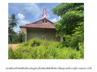 https://ww17.ohoproperty.com/194183/ธนาคารออมสิน/ขายที่ดินพร้อมสิ่งปลูกสร้าง/ห้วยน้ำขาว/คลองท่อม/กระบี่/