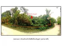 https://ww17.ohoproperty.com/209983/ธนาคารออมสิน/ขายที่ดิน/เหนือคลอง/เหนือคลอง/กระบี่/