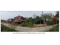 https://ww17.ohoproperty.com/195911/ธนาคารออมสิน/ขายที่ดินพร้อมสิ่งปลูกสร้าง/ศรีสองรัก/เมืองเลย/เลย/