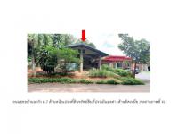 https://ww17.ohoproperty.com/204149/ธนาคารออมสิน/ขายที่ดินพร้อมสิ่งปลูกสร้าง/ทรายขาว/วังสะพุง/เลย/