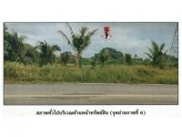 https://ww17.ohoproperty.com/210073/ธนาคารออมสิน/ขายที่ดิน/กะปาง/ทุ่งสง/นครศรีธรรมราช/