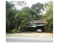 https://ww17.ohoproperty.com/161675/ธนาคารออมสิน/ขายที่ดินพร้อมสิ่งปลูกสร้าง/โต๊ะเด็ง/สุไหงปาดี/นราธิวาส/