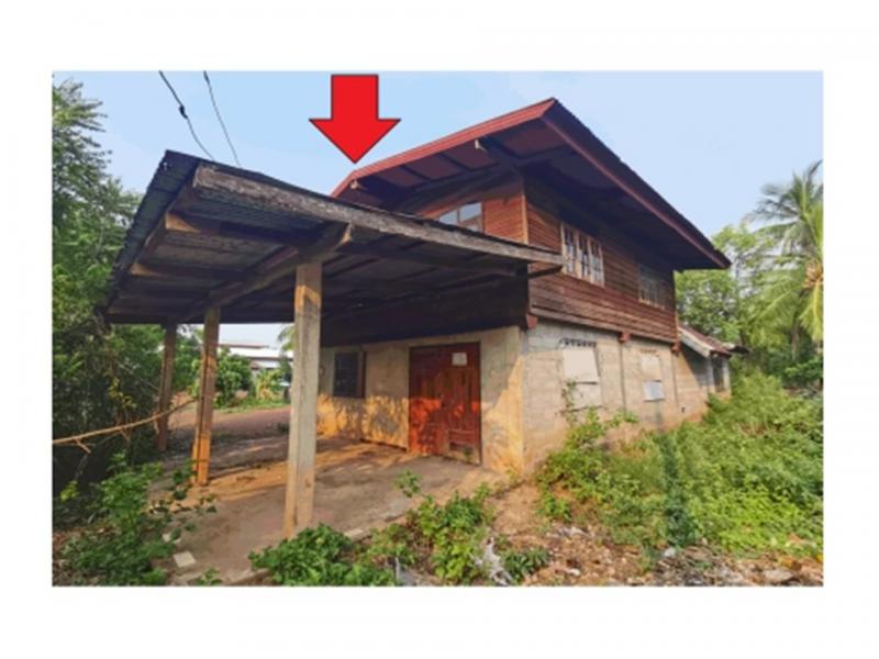 ดงหม้อทอง บ้านม่วง สกลนคร