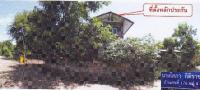 https://ww17.ohoproperty.com/140439/ธนาคารอาคารสงเคราะห์/ขายบ้านเดี่ยว/นาม่วง/ประจักษ์ศิลปาคม/อุดรธานี/