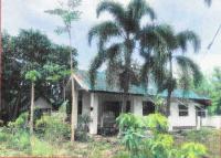 https://ww17.ohoproperty.com/143639/ธนาคารอาคารสงเคราะห์/ขายบ้านเดี่ยว/อุโมงค์/เมืองลำพูน/ลำพูน/