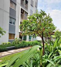 https://ww17.ohoproperty.com/212609/ธนาคารอาคารสงเคราะห์/ขายคอนโด/รังสิต/ธัญบุรี/ปทุมธานี/