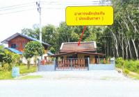 https://ww17.ohoproperty.com/217111/ธนาคารอาคารสงเคราะห์/ขายบ้านเดี่ยว/หลักช้าง//นครศรีธรรมราช/