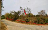 https://ww17.ohoproperty.com/182534/ธนาคารกสิกรไทย/ขายที่ดินว่างเปล่า/บ้านกลาง/สันป่าตอง/เชียงใหม่/