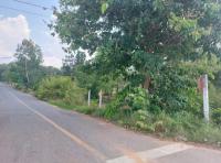 https://ww17.ohoproperty.com/219748/ธนาคารกสิกรไทย/ขายที่ดินว่างเปล่า/หนองแวง/เมืองร้อยเอ็ด/ร้อยเอ็ด/