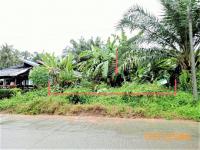 https://ww17.ohoproperty.com/151896/ธนาคารกสิกรไทย/ขายที่ดินว่างเปล่า/คลองท่อมใต้/คลองท่อม/กระบี่/