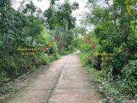 https://ww17.ohoproperty.com/157533/ธนาคารกสิกรไทย/ขายที่ดินว่างเปล่า/หนองย่างชิ้น/เรณูนคร/นครพนม/