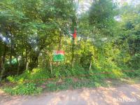 https://ww17.ohoproperty.com/159061/ธนาคารกสิกรไทย/ขายที่ดินว่างเปล่า/เมืองใหม่/ศรีบุญเรือง/หนองบัวลำภู/