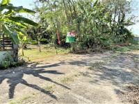 https://ww17.ohoproperty.com/158073/ธนาคารกสิกรไทย/ขายที่ดินว่างเปล่า/ดงมะดะ/แม่ลาว/เชียงราย/