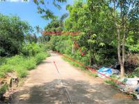 https://ww17.ohoproperty.com/157153/ธนาคารกสิกรไทย/ขายที่ดินว่างเปล่า/ลิปะน้อย/เกาะสมุย/สุราษฎร์ธานี/