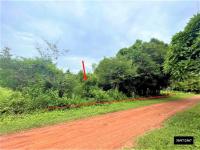 ที่ดินว่างเปล่าหลุดจำนอง ธ.ธนาคารกสิกรไทย ปลาโหล วาริชภูมิ สกลนคร