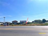 https://ww17.ohoproperty.com/167547/ธนาคารกสิกรไทย/ขายที่ดินว่างเปล่า/บ้านกล้วย/เมืองสุโขทัย/สุโขทัย/