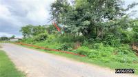 https://ww17.ohoproperty.com/175143/ธนาคารกสิกรไทย/ขายที่ดินว่างเปล่า/เมือง/เมืองเลย/เลย/