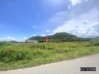 https://ww17.ohoproperty.com/170832/ธนาคารกสิกรไทย/ขายที่ดินว่างเปล่า/อาฮี/ท่าลี่/เลย/
