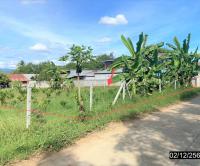 https://ww17.ohoproperty.com/171282/ธนาคารกสิกรไทย/ขายที่ดินว่างเปล่า/อาฮี/ท่าลี่/เลย/