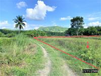 https://ww17.ohoproperty.com/171387/ธนาคารกสิกรไทย/ขายที่ดินว่างเปล่า/อาฮี/ท่าลี่/เลย/