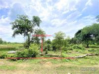 https://ww17.ohoproperty.com/180928/ธนาคารกสิกรไทย/ขายที่ดินว่างเปล่า/ควนลัง/หาดใหญ่/สงขลา/