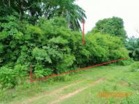 https://ww17.ohoproperty.com/190465/ธนาคารกสิกรไทย/ขายที่ดินว่างเปล่า/ทรายขาว/คลองท่อม/กระบี่/