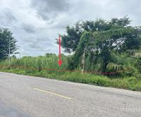 https://ww17.ohoproperty.com/192105/ธนาคารกสิกรไทย/ขายที่ดินว่างเปล่า/งิ้วราย/ตะพานหิน/พิจิตร/