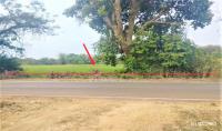 https://ww17.ohoproperty.com/200594/ธนาคารกสิกรไทย/ขายที่ดินว่างเปล่า/ไฮหย่อง/พังโคน/สกลนคร/