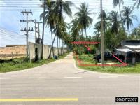 https://ww17.ohoproperty.com/205122/ธนาคารกสิกรไทย/ขายที่ดินว่างเปล่า/บางมะพร้าว/หลังสวน/ชุมพร/