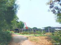 https://ww17.ohoproperty.com/205049/ธนาคารกสิกรไทย/ขายที่ดินว่างเปล่า/เอกราช/ป่าโมก/อ่างทอง/