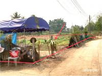 https://ww17.ohoproperty.com/204973/ธนาคารกสิกรไทย/ขายที่ดินว่างเปล่า/แม่คะ/ฝาง/เชียงใหม่/