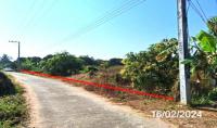 https://ww17.ohoproperty.com/204959/ธนาคารกสิกรไทย/ขายที่ดินว่างเปล่า/หนองยวง/เวียงหนองล่อง/ลำพูน/