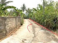 https://ww17.ohoproperty.com/206811/ธนาคารกสิกรไทย/ขายที่ดินว่างเปล่า/สันทราย/แม่จัน/เชียงราย/