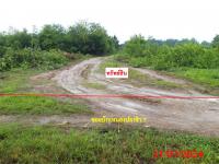 https://ww17.ohoproperty.com/206691/ธนาคารกสิกรไทย/ขายที่ดินว่างเปล่า/บ้านกลาง/สันป่าตอง/เชียงใหม่/
